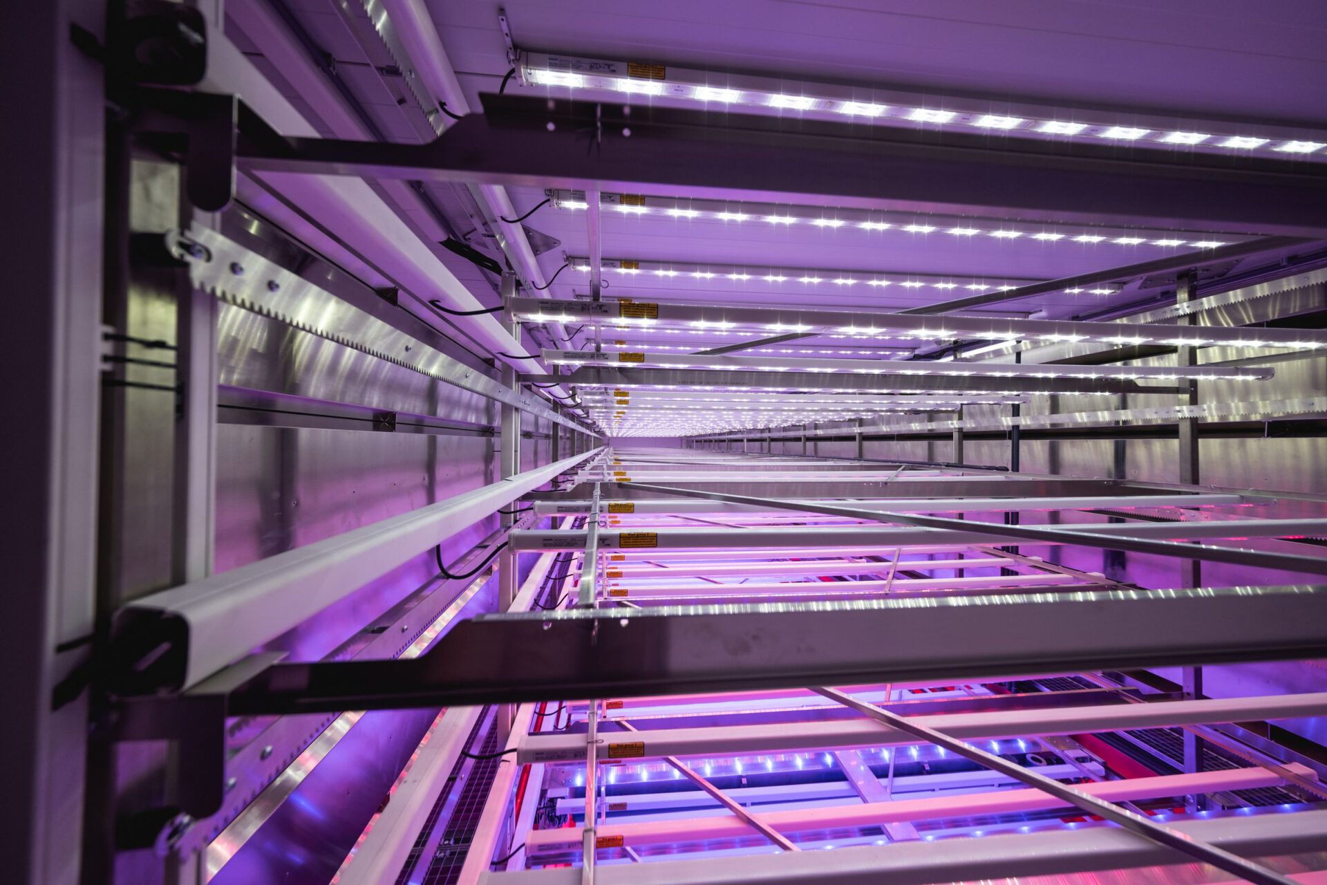 School Visits Local Hydroponics Farm